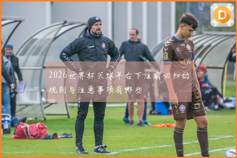 2026世界杯买球平台下注前必知的规则与注意事项有哪些