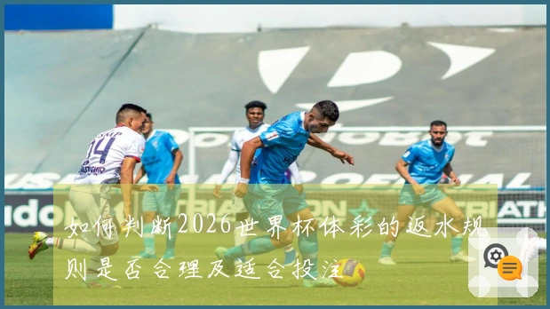 如何判断2026世界杯体彩的返水规则是否合理及适合投注