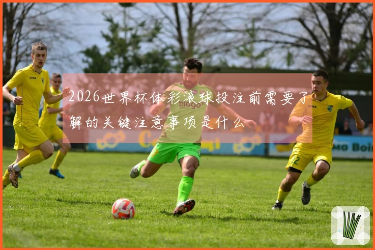 2026世界杯体彩滚球投注前需要了解的关键注意事项是什么