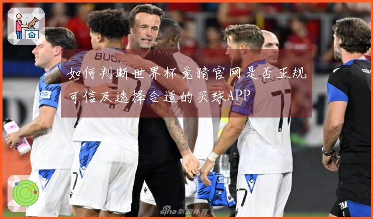 如何判断世界杯竞猜官网是否正规可信及选择合适的买球APP