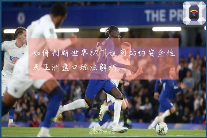 如何判断世界杯下注网站的安全性及亚洲盘口玩法解析