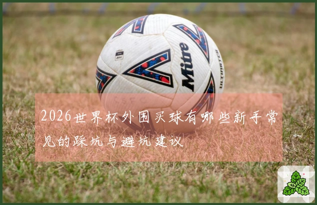 2026世界杯外围买球有哪些新手常见的踩坑与避坑建议